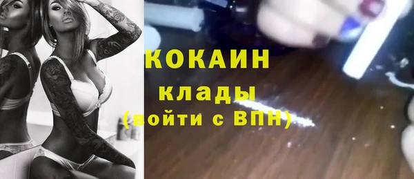 крисы Алексин