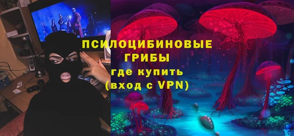 крисы Алексин