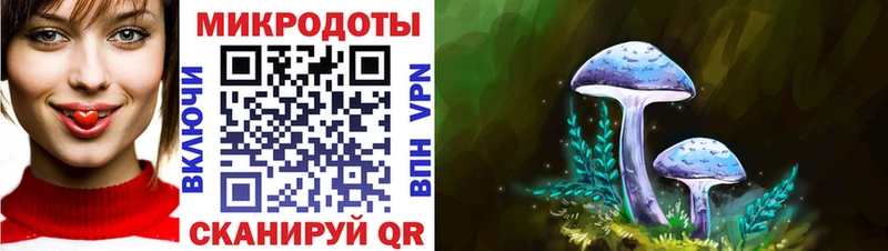 Галлюциногенные грибы ЛСД Переславль-Залесский